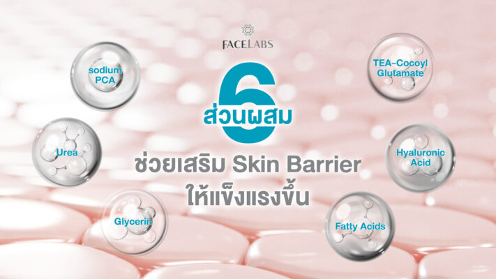 6 ส่วนผสมในเจลล้างหน้าที่ช่วยเสริม Skin Barrier ให้แข็งแรงขึ้น